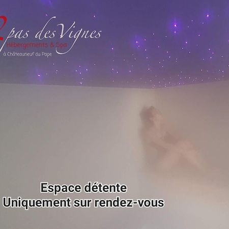 A 2 pas des vignes, hébergements et SPA à Châteauneuf du Pape, maison numéro 6 Exterior foto